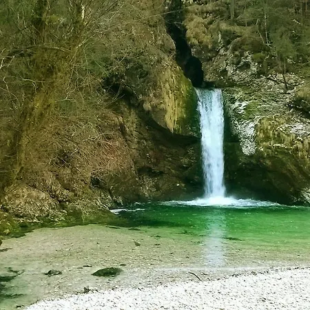 & Lipa * Bohinji-tó